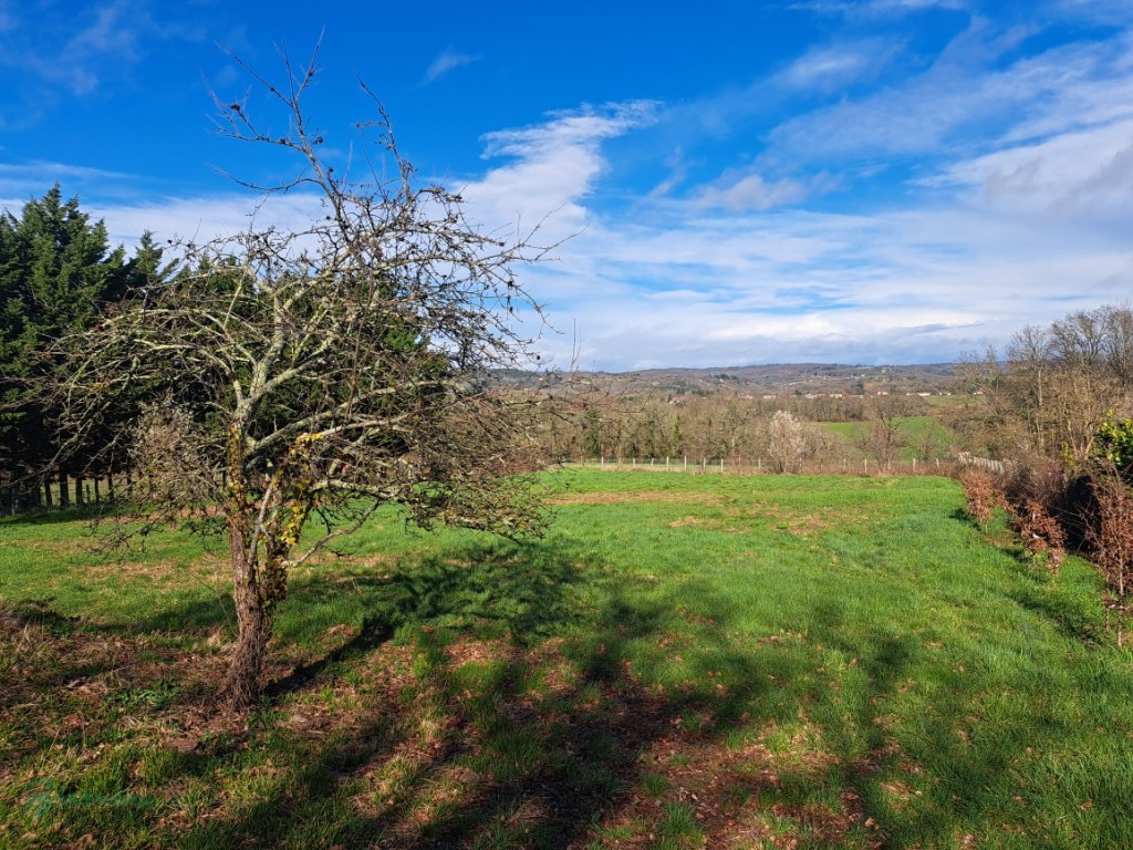 Bel Ensemble constitué d’une magnifique Grange en pierre de 154 m² au sol sur 2 niveaux & d’un Hangar en pierre et en bois de 74 m²