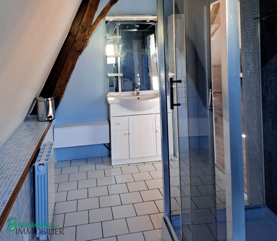 Joli appartement lumineux 55 m² rénové type Loft