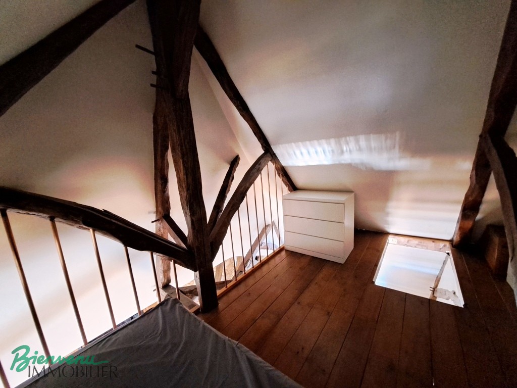 Joli appartement lumineux 55 m² rénové type Loft