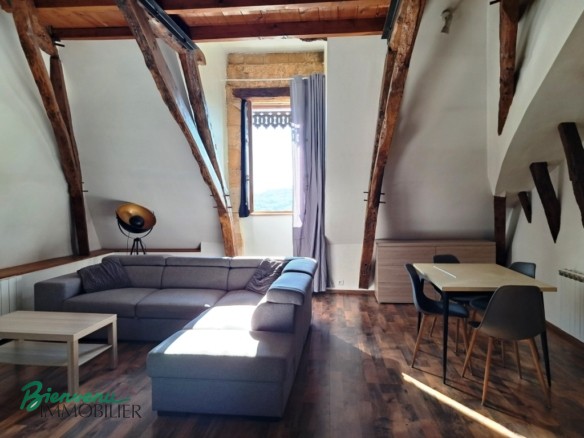 Joli appartement lumineux 55 m² rénové type Loft