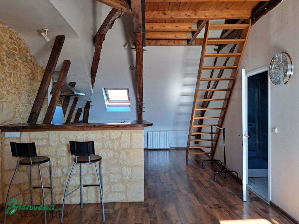Joli appartement lumineux 55 m² rénové type Loft