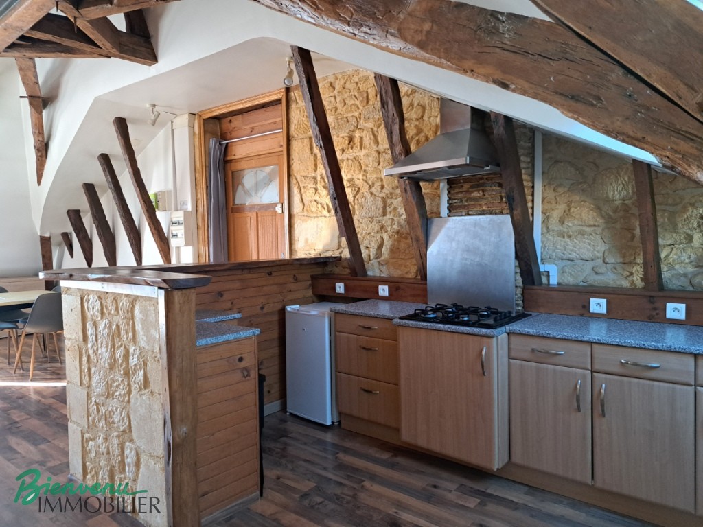 Joli appartement lumineux 55 m² rénové type Loft