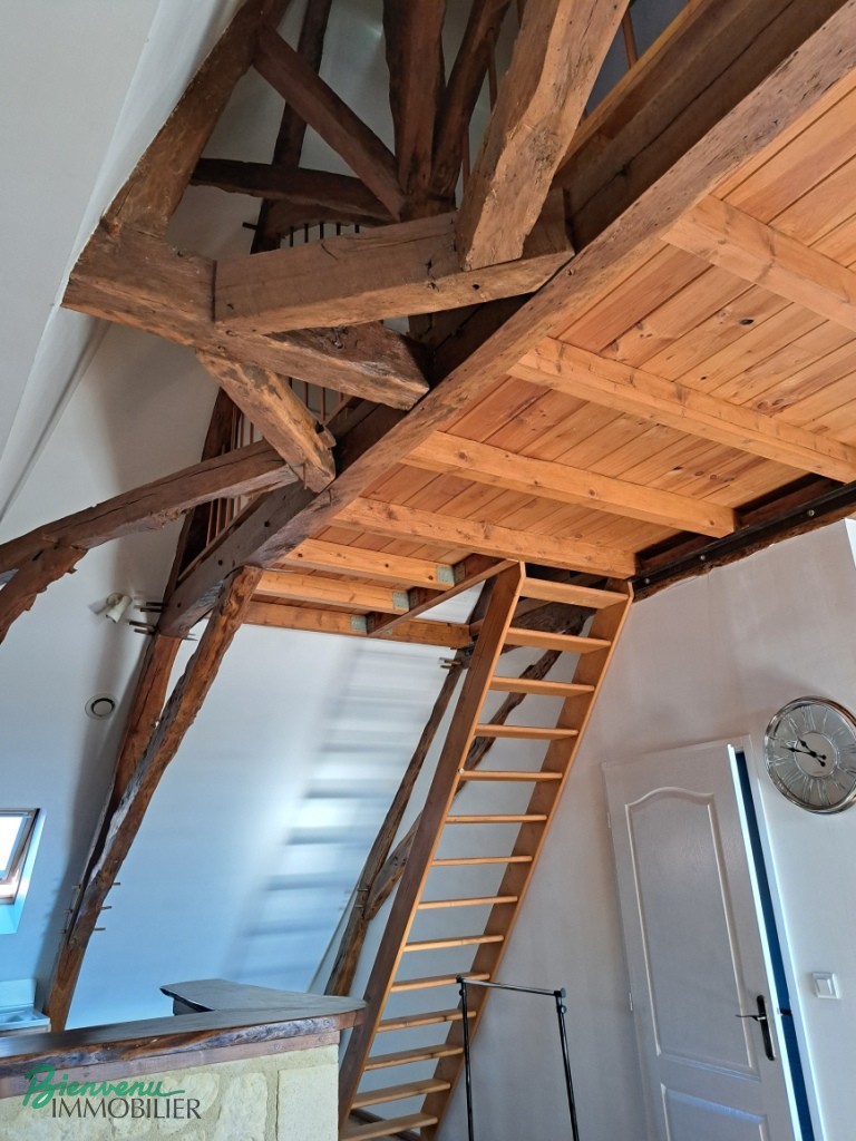 Joli appartement lumineux 55 m² rénové type Loft